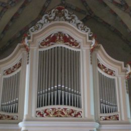 Lekno organ